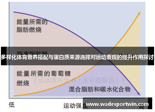 多样化体育营养搭配与蛋白质来源选择对运动表现的提升作用探讨
