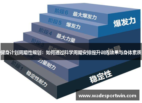 健身计划周期性规划：如何通过科学周期安排提升训练效果与身体素质